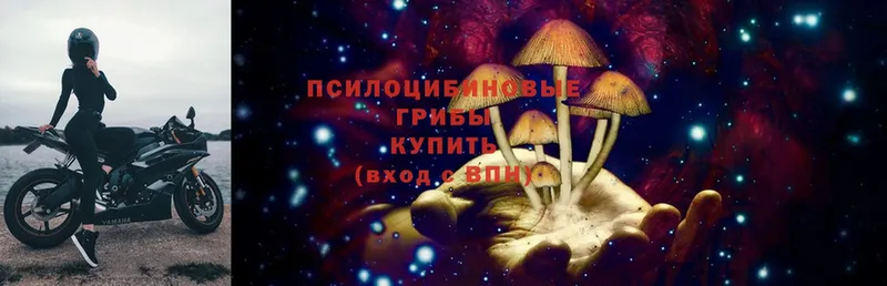 KRAKEN зеркало  купить   Тюкалинск  Галлюциногенные грибы Psilocybine cubensis 